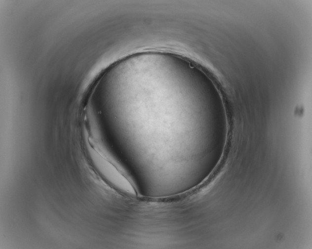 X0000091971506200709201354