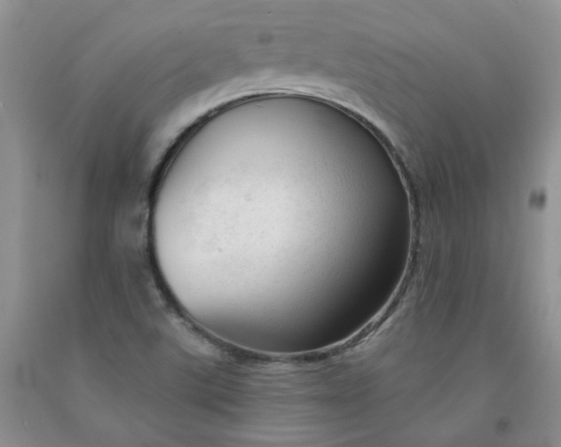 X0000091971507200709201354