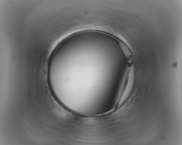 X0000091971508200709201354