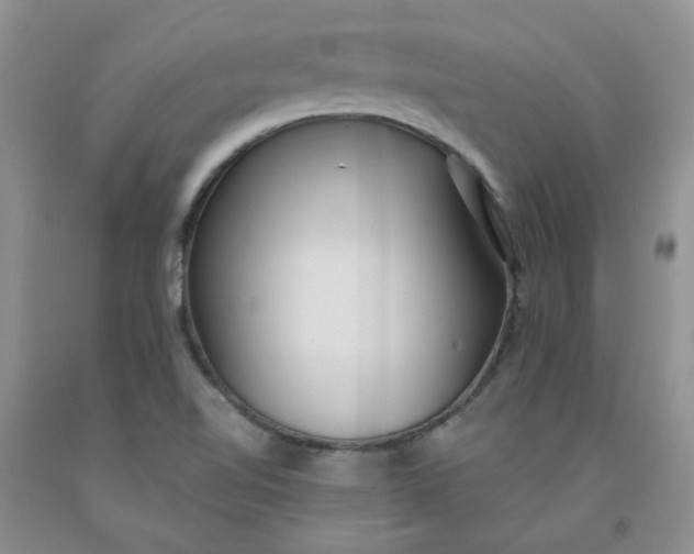 X0000091971510200709201354