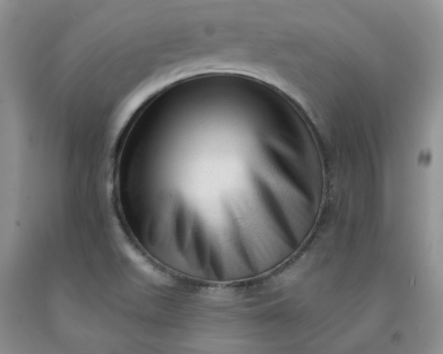 X0000091971511200709201354
