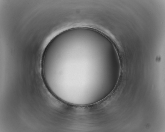 X0000091971512200709201354