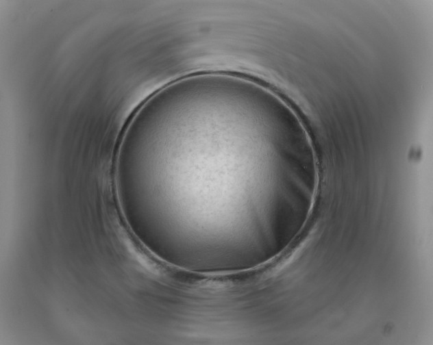 X0000091971513200709201354