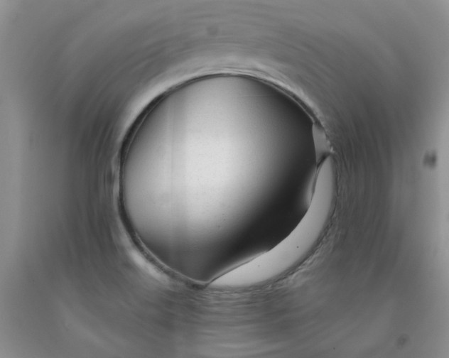 X0000091971515200709201354