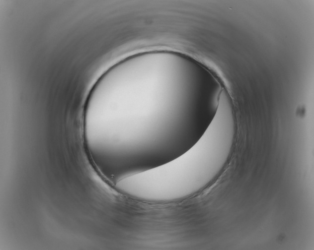 X0000091971516200709201354