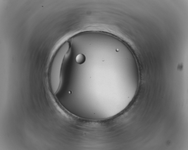 X0000091971517200709201354