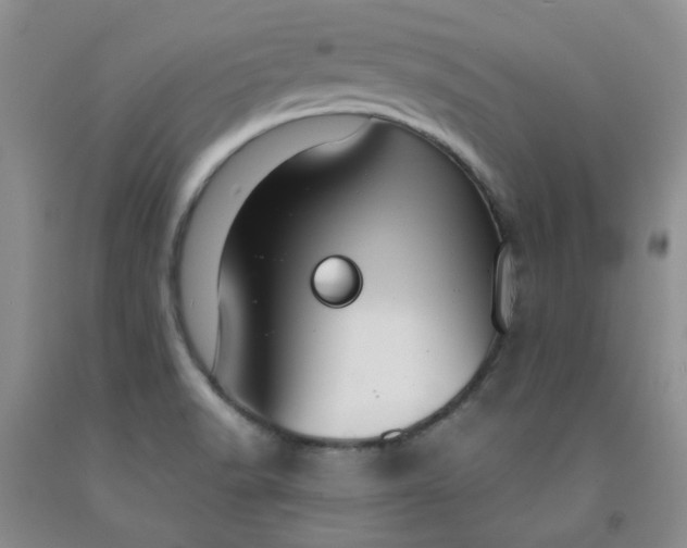 X0000091971518200709201354