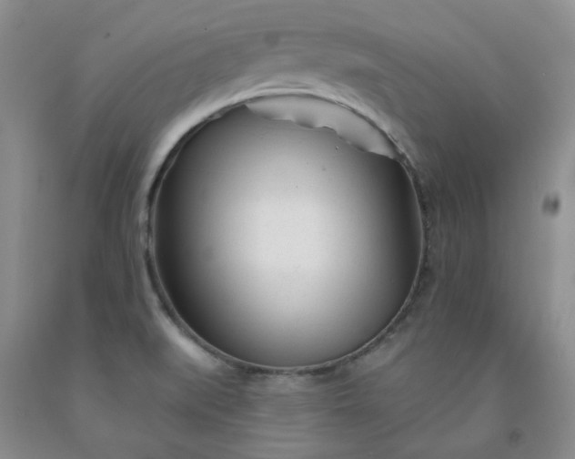 X0000091971519200709201354