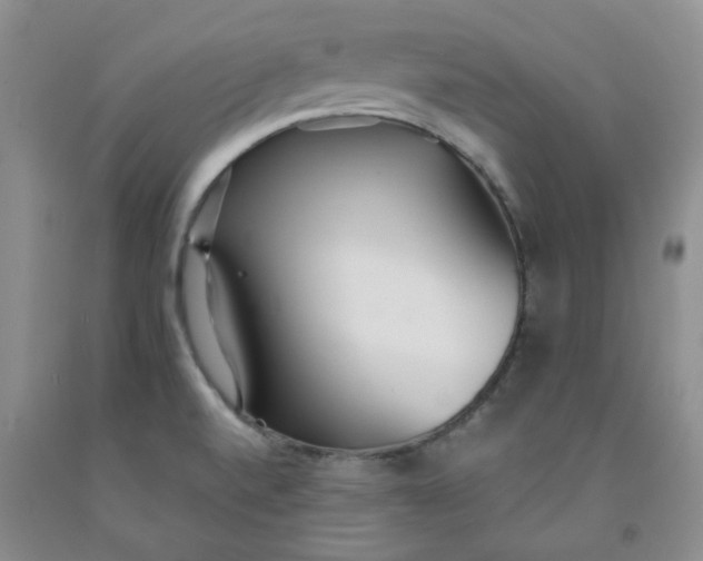 X0000091971520200709201354