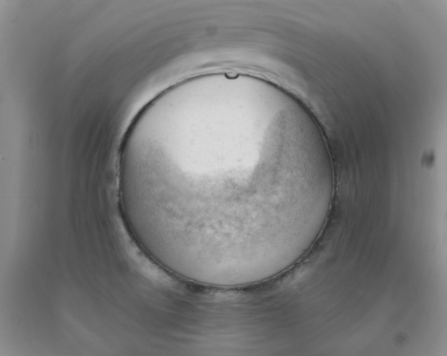 X0000091971522200709201354