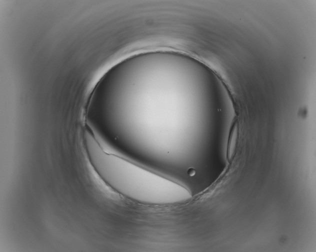 X0000091971524200709201354