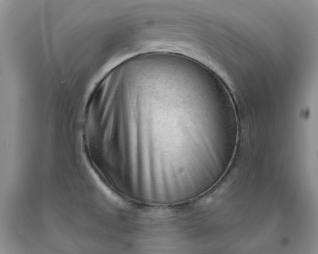 X0000091971525200709201354