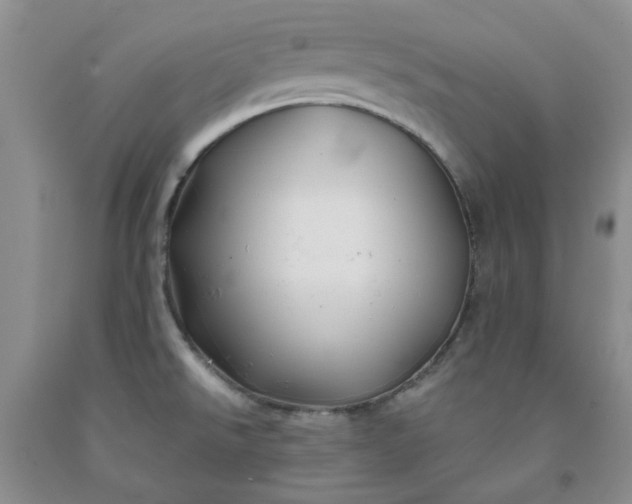 X0000091971526200709201354