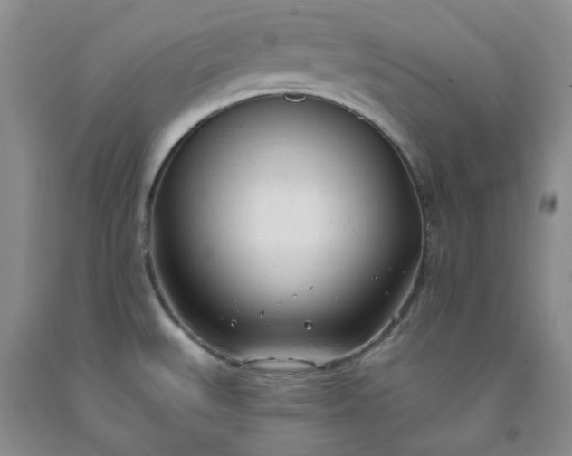 X0000091971527200709201354