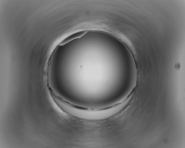 X0000091971528200709201354