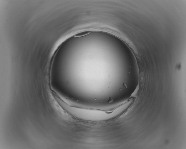 X0000091971530200709201354