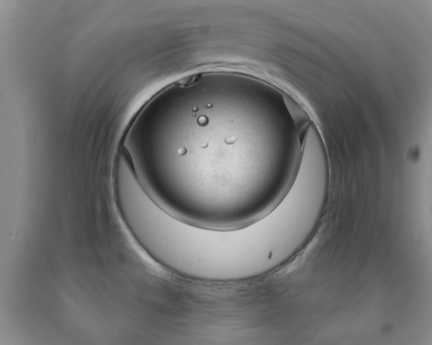 X0000091971533200709201355