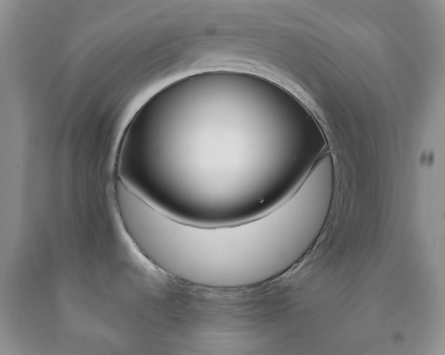 X0000091971536200709201355