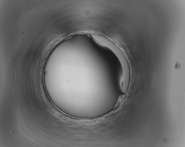 X0000091970001200709271416