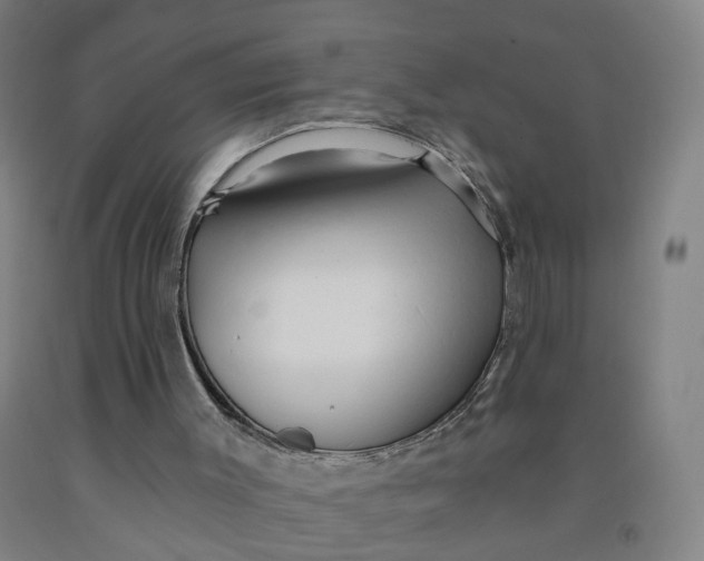 X0000091970003200709271416