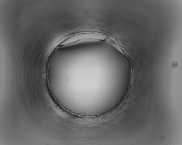 X0000091970005200709271416