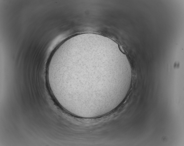 X0000091970006200709271416