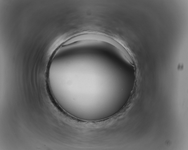 X0000091970007200709271416