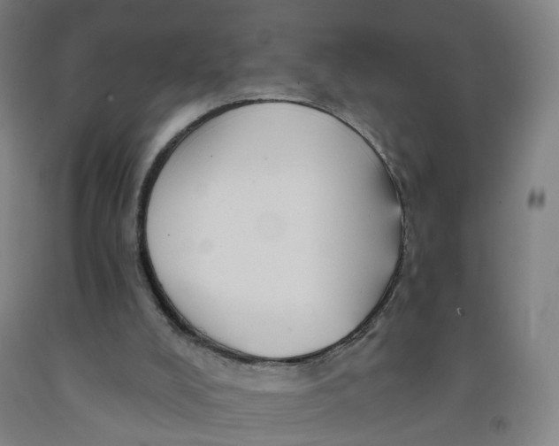 X0000091970008200709271416