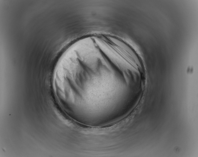 X0000091970009200709271416