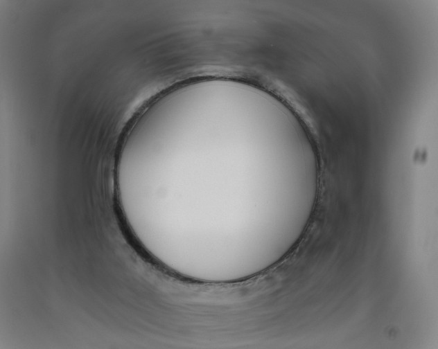 X0000091970011200709271416