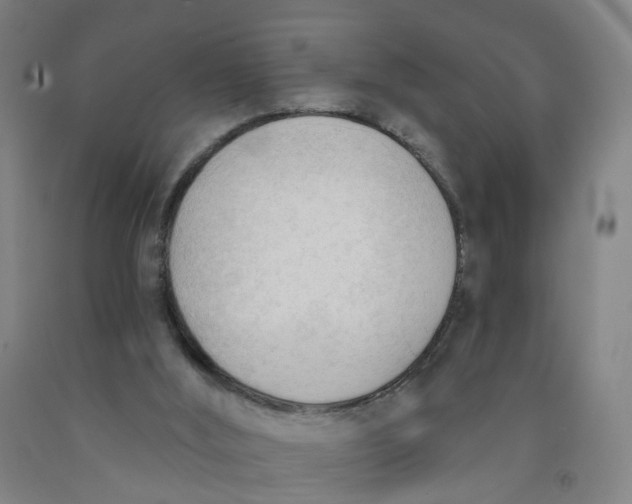 X0000091970012200709271416