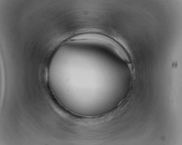 X0000091970013200709271416