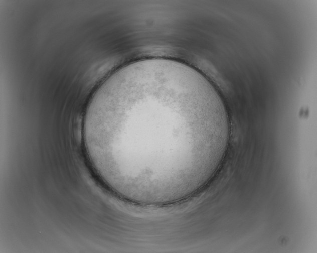 X0000091970014200709271416