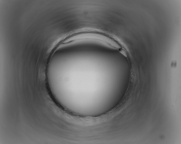 X0000091970015200709271416