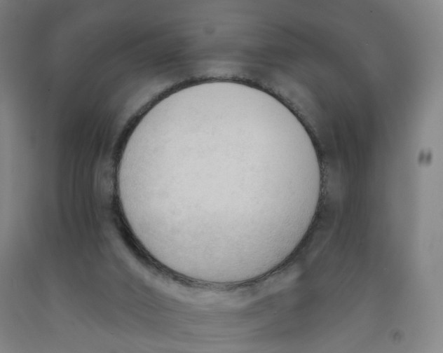 X0000091970016200709271416