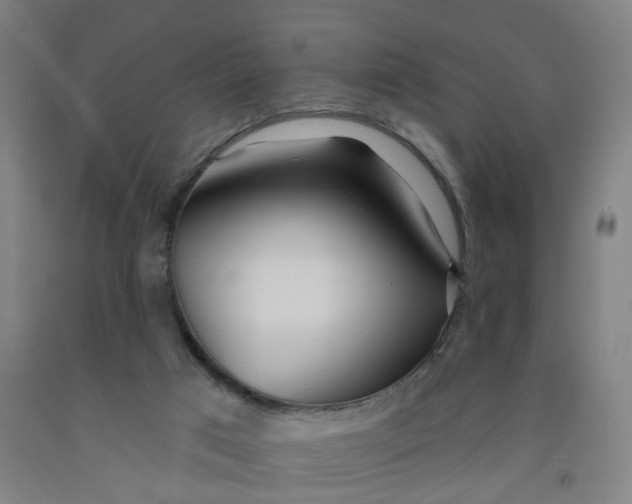 X0000091970017200709271416