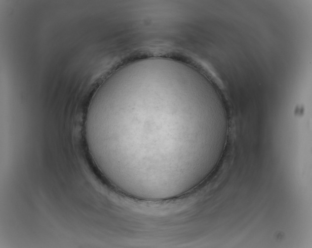 X0000091970018200709271416