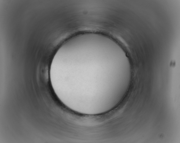 X0000091970020200709271416
