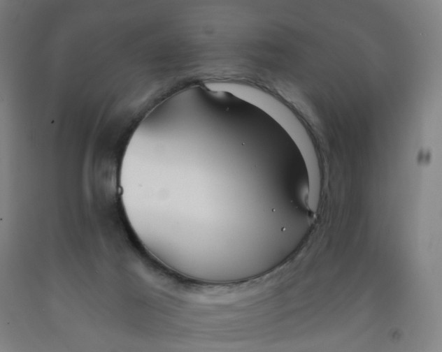 X0000091970021200709271416