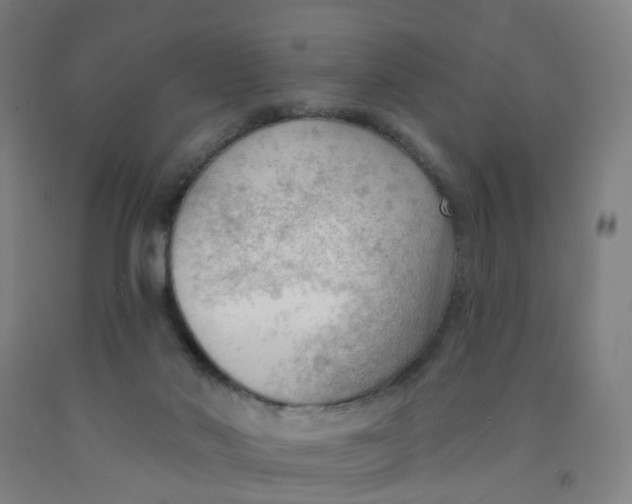 X0000091970022200709271416