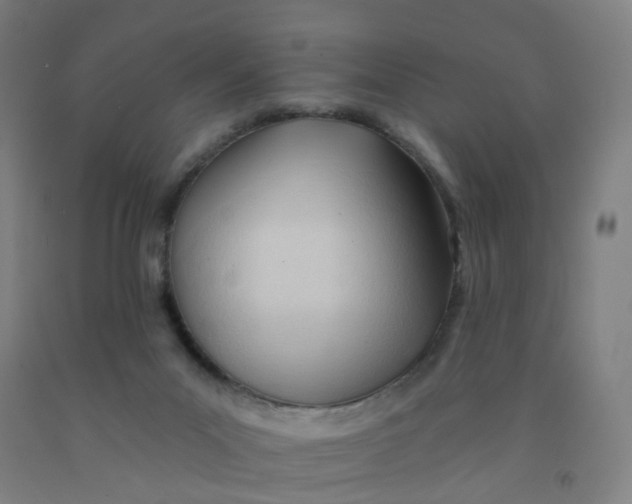 X0000091970023200709271416