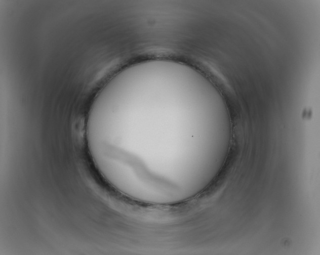 X0000091970024200709271416