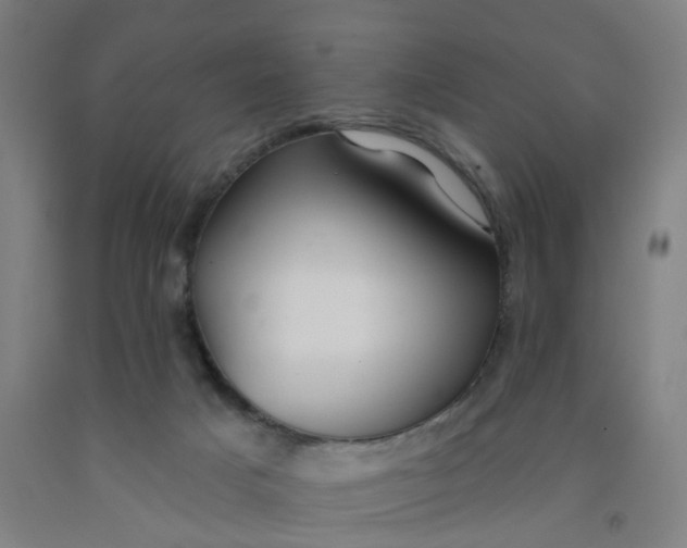 X0000091970025200709271416