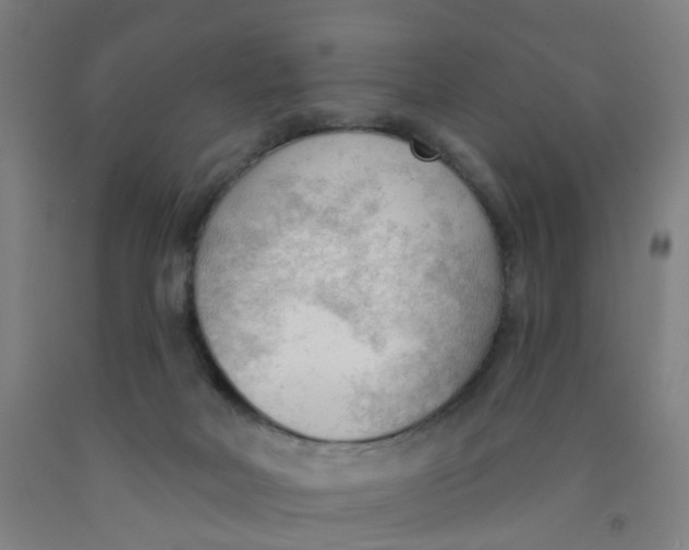 X0000091970026200709271416