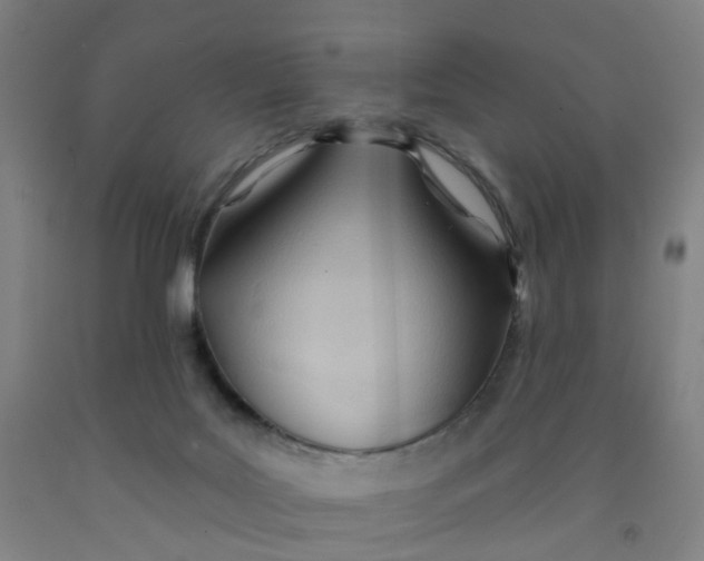 X0000091970027200709271416