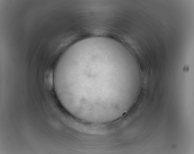 X0000091970028200709271416