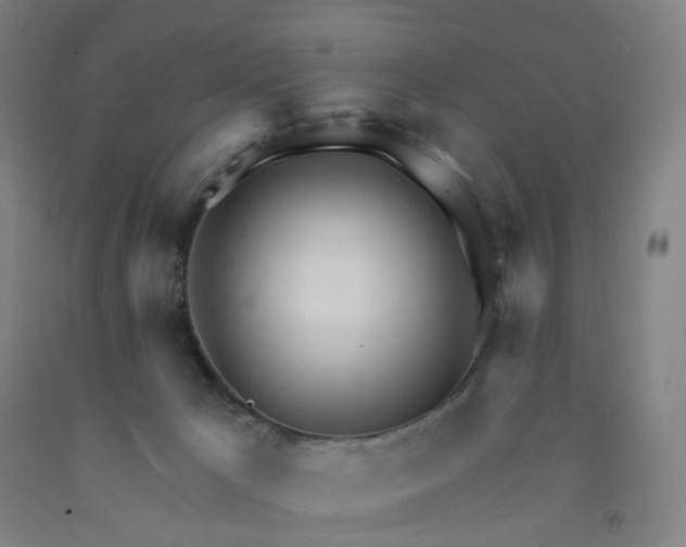 X0000091970029200709271416