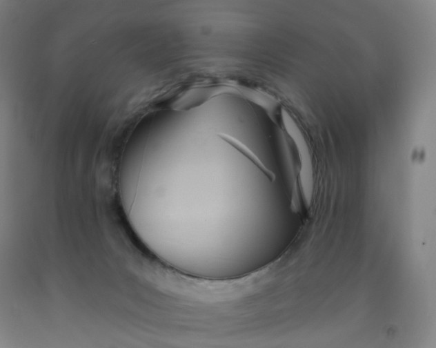 X0000091970031200709271416