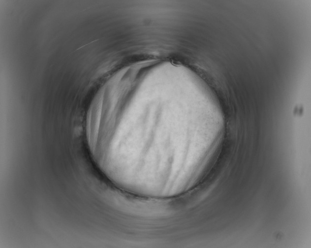 X0000091970032200709271416