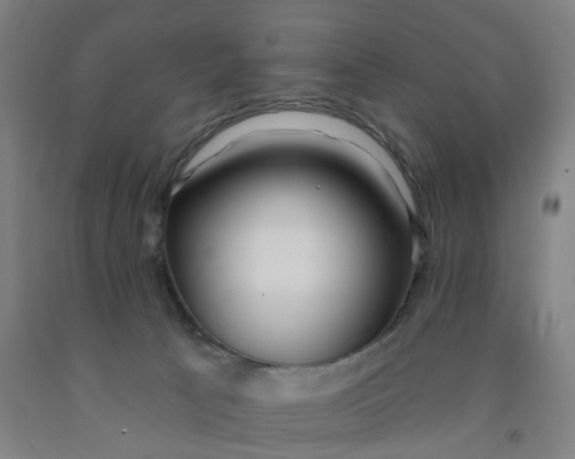 X0000091970033200709271416